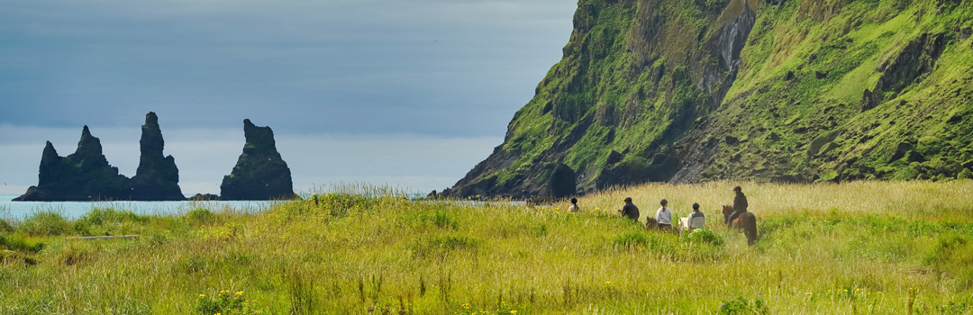 Ridning ved Reynisdrangar i Islands grønne landskap.