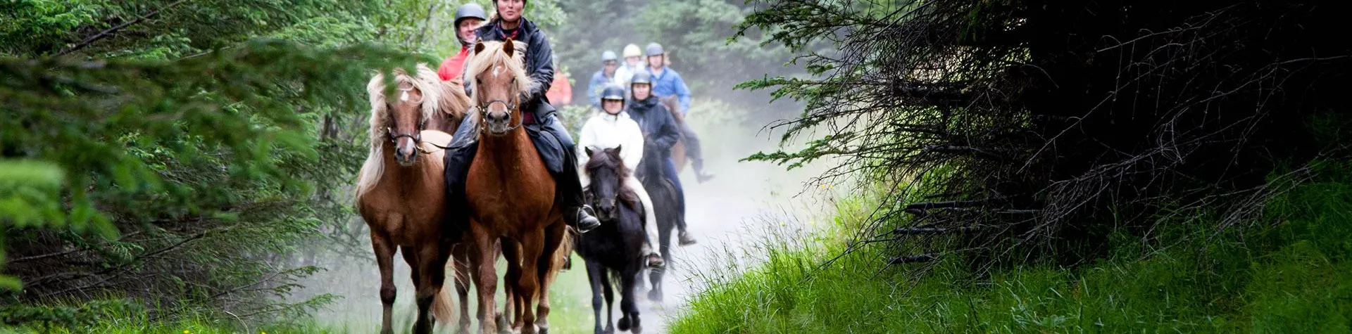 Under fjellene (08:00/8.5 tim/5-6 tim ridetur) (C01)