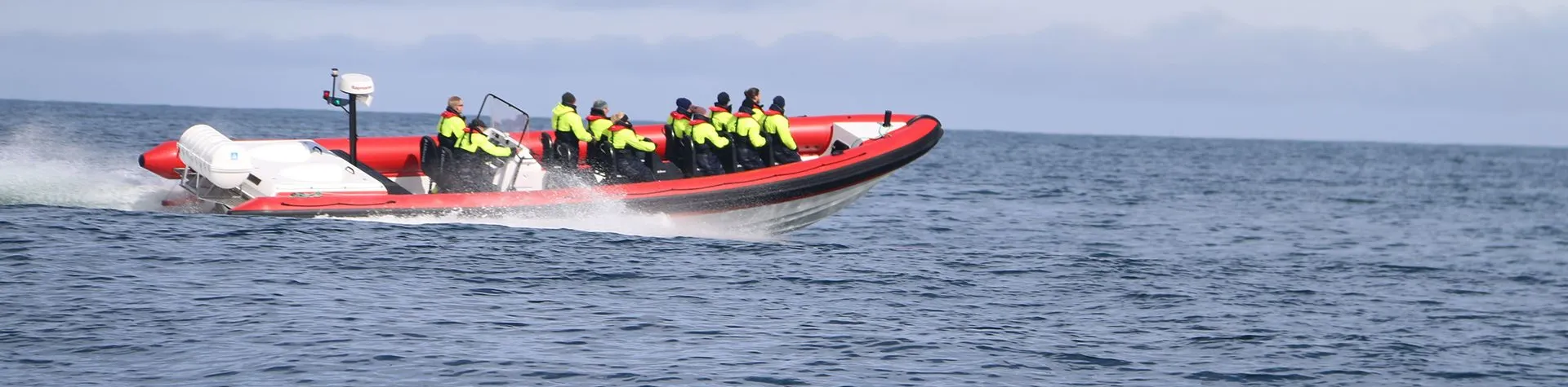 Hvalsafari med ribbåt (08:00/3 tim) (T07)