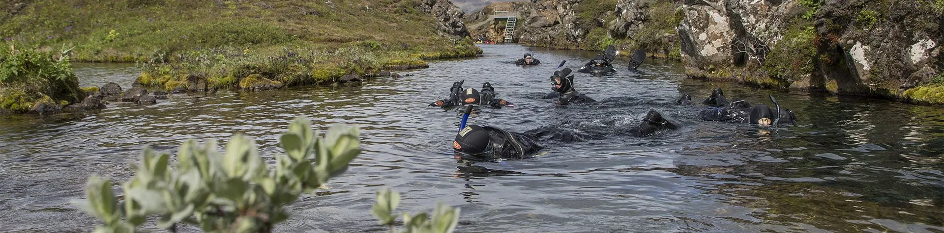 Snorkling i Silfra (12:00/5 tim) (G14)