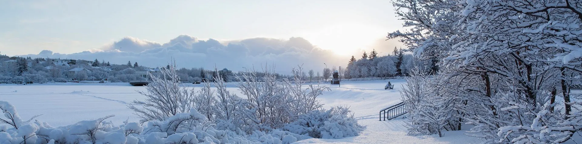 Reykjavík Christmas Walk