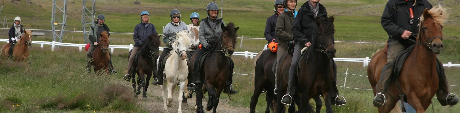 Horse Riding & Golden Circle