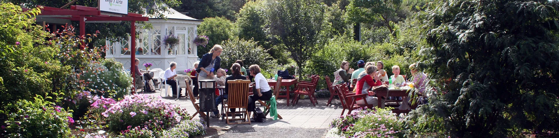 botanisk trädgård, cafe, sommar, island