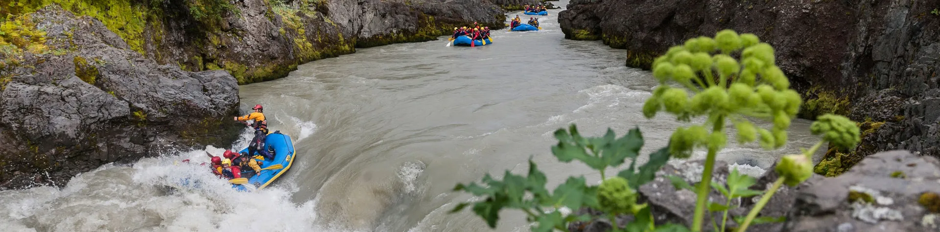 Grupptur forsränning på Island