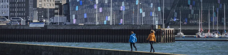 reykjavik, harpa, island