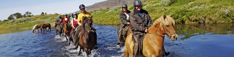 ridning, islandshäst, island