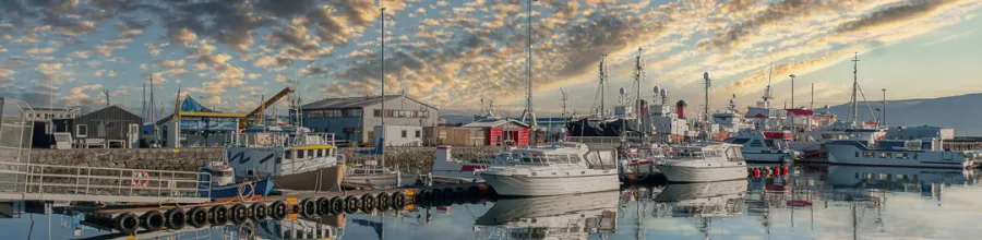 Fiskebåter i Reykjaviks havn med speilblankt vann.