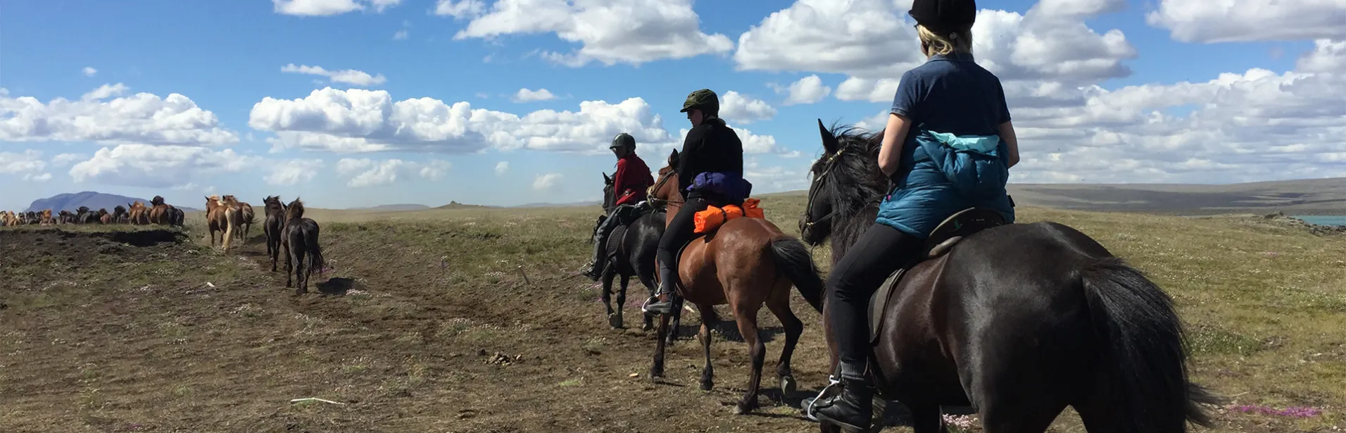 Ridning, island, landmannalaugar