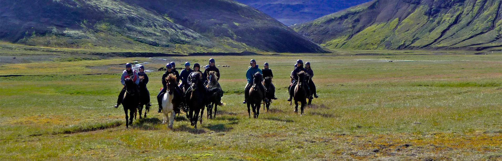 Ridning, kjölur, glaciär, island, islandshäst