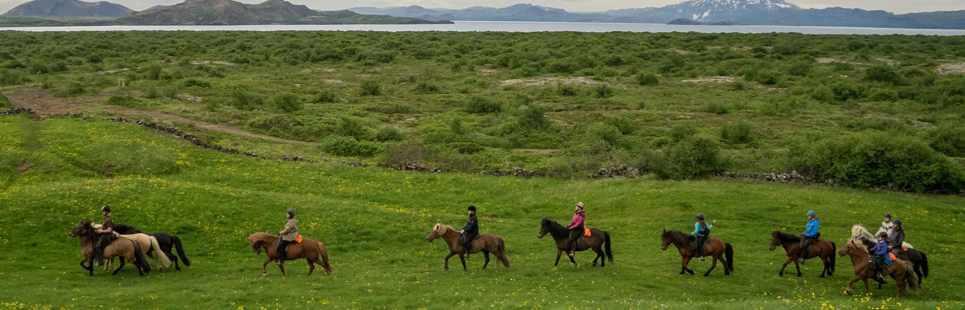 Ridning, island, islandshäst