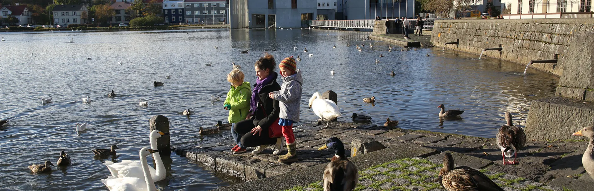 reykjavik, familj, island